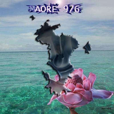 maor&eacute; 976 en force